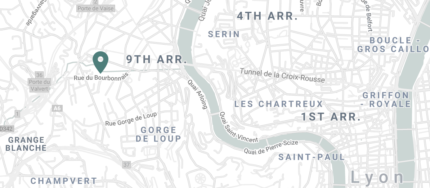carte de lyon