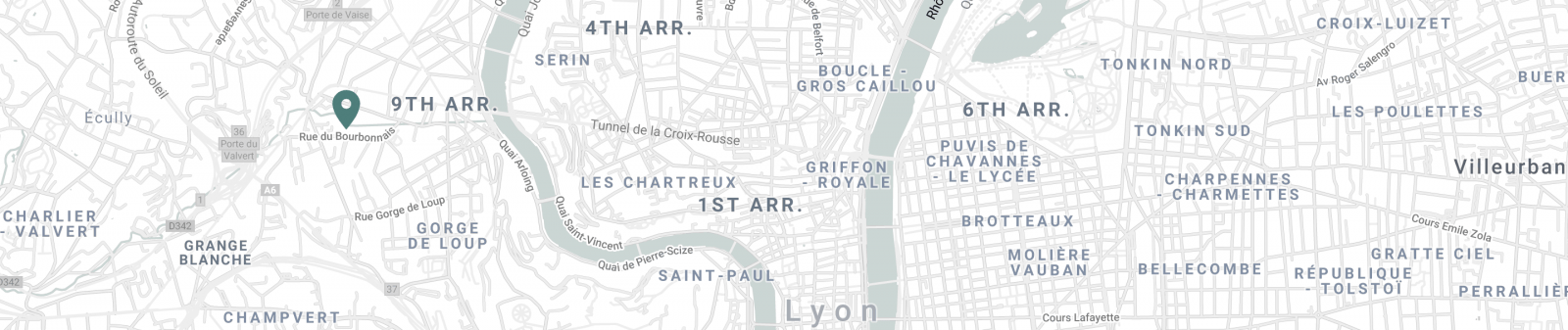 carte de lyon